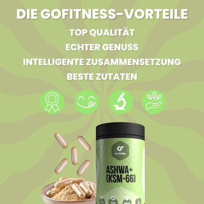 Ashwa + - 60 Kapseln